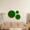 Round Framed Moss Wall Decor, only the Small pc