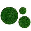 Round Framed Moss Wall Decor, only the Small pc